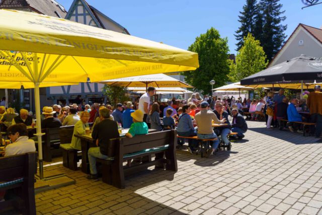 Jahrgangstreffen Sifi 1.5.2026 (42 von 44)