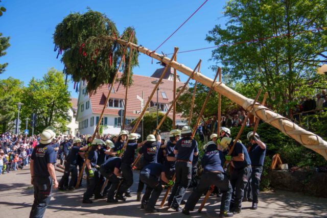 Maibaumstellen Miachingen 1.5.2026 (9 von 53)
