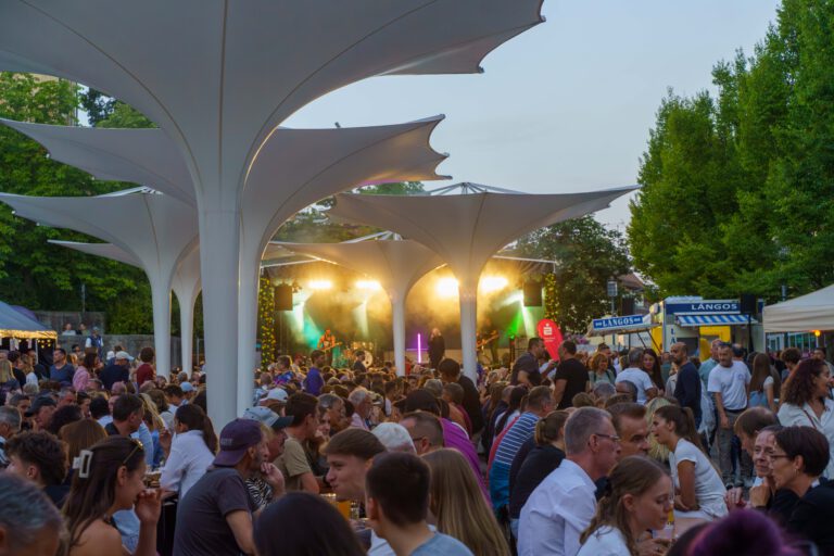Stadtfest BB (34 von 48)